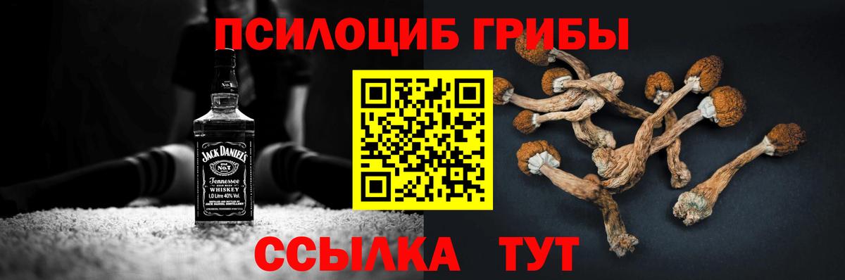 Псилоцибиновые грибы Psilocybine cubensis  Вход с VPN  Псилоцибиновые грибы ЛСД  хочу   Кимовск 